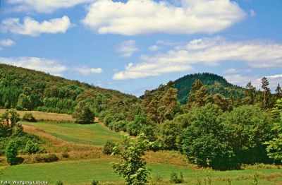 Waldwiesental des Lindenhoefer Baches